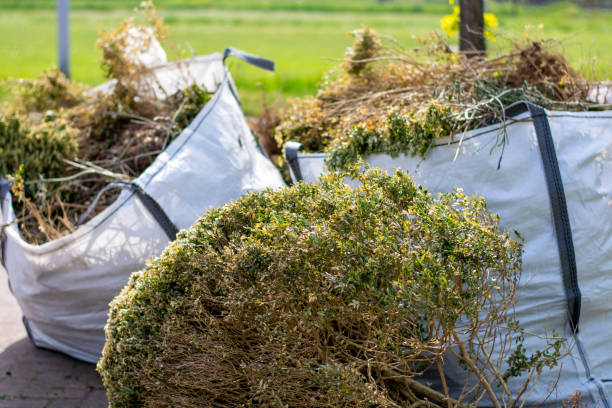 Best Same-Day Junk Removal  in Old Bethpage, NY